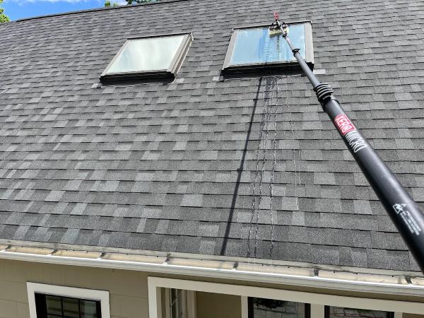 Pro Window Cleaning