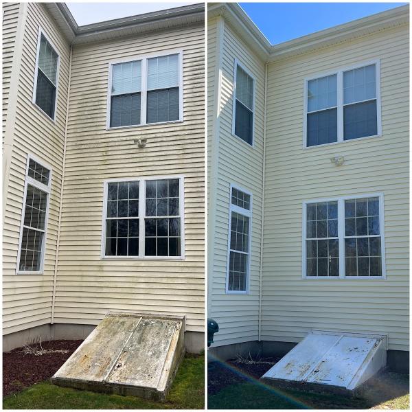 Pro Window Cleaning