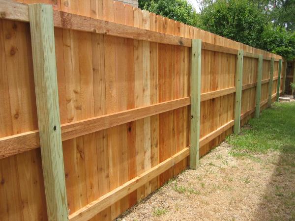 Sierra Fence
