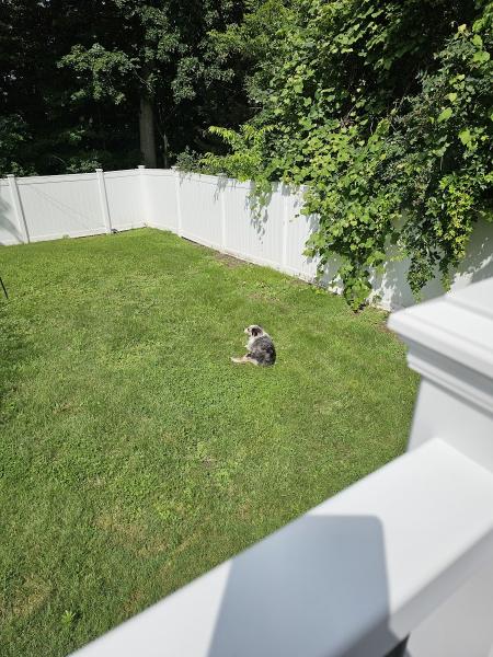 Patriot Pest Management
