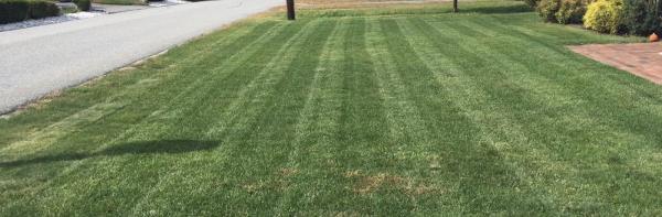 Patriot Pest Management