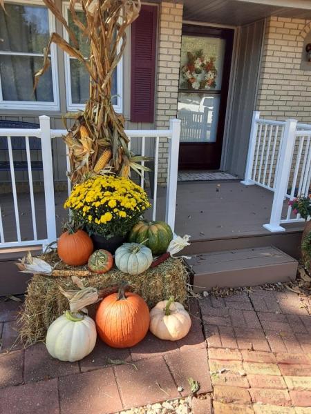 Ozarks Outdoor Solutions