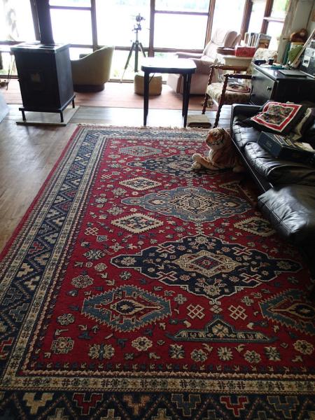 Raney's Carpet Care