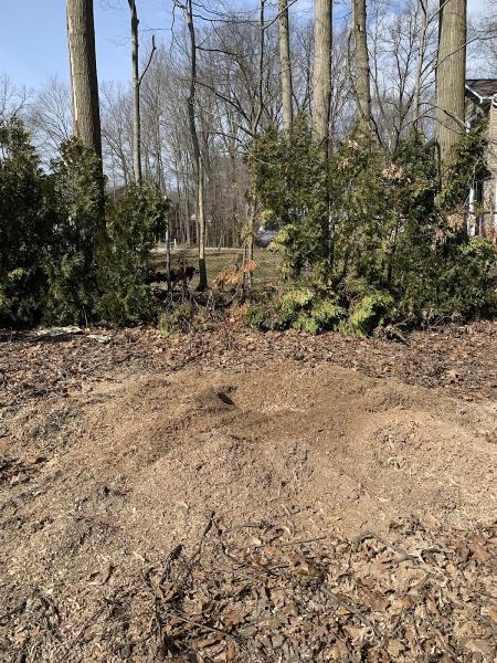 Havanas Stump Grinding