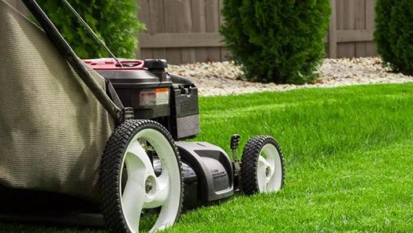 Colonial Landscaping