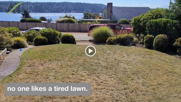 Aerating-Thatching Co