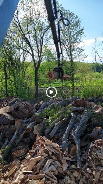 Denny Young Tree Service