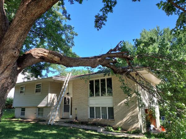 Denny Young Tree Service