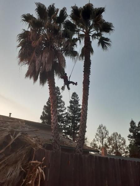 R.S Tree Services