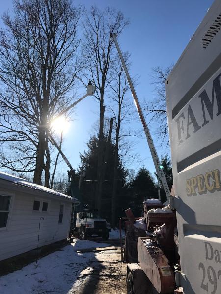Family Tree Services