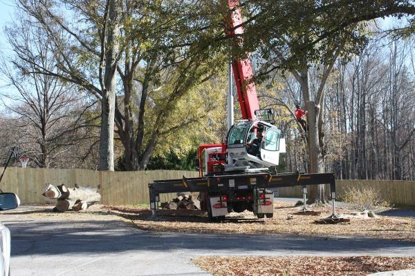 R & R Tree Service