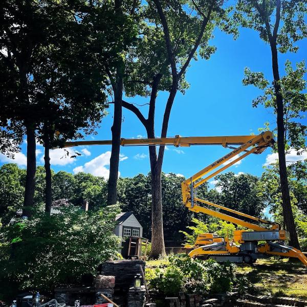 Minnechaug Tree and Landscape Inc