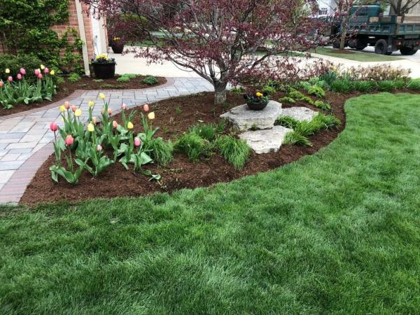 Joe & Tony Landscaping Inc