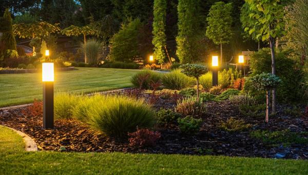 Mike's Tropic Lawn & Tree Service