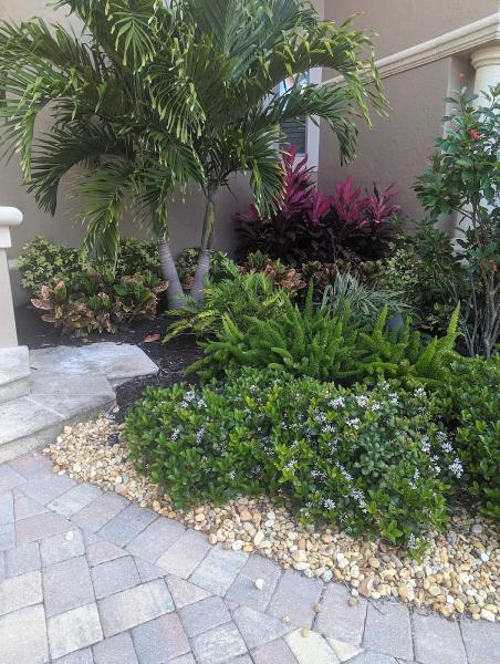 Mike's Tropic Lawn & Tree Service