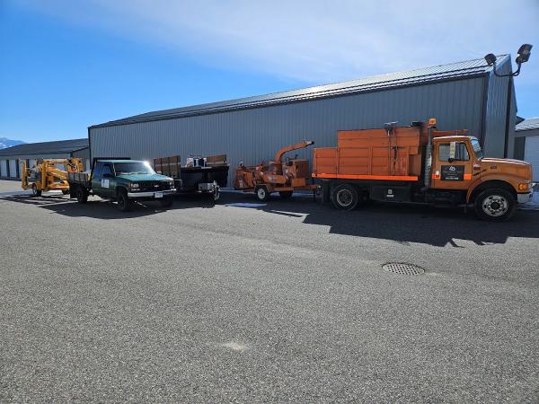 Betterwest Tree Service