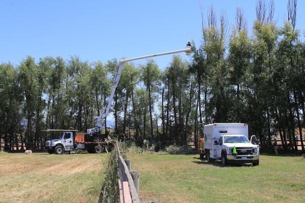 Sandborn Tree Service Inc