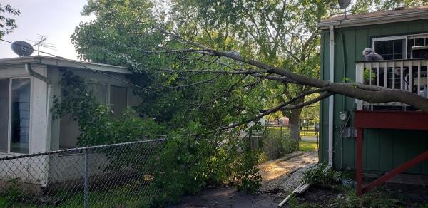Jackson Arbor & Outdoor Services