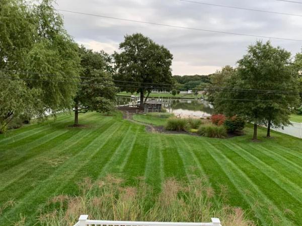 Infinite Landscaping