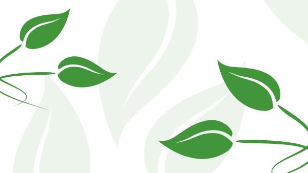 Greensprays Organic Tick Control