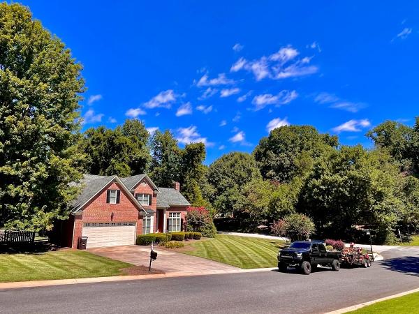 Palmetto Lawn Services