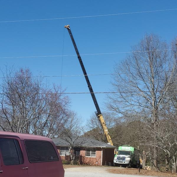Ryan Tree Service