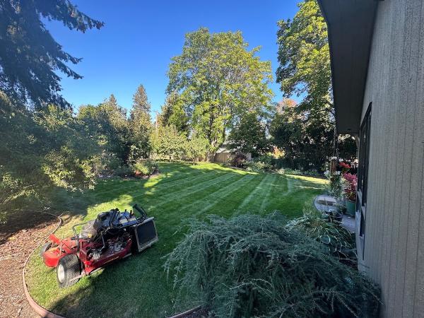 Mowtivated Lawn Care Services