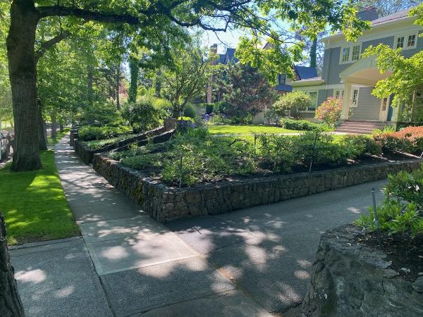 Mowtivated Lawn Care Services