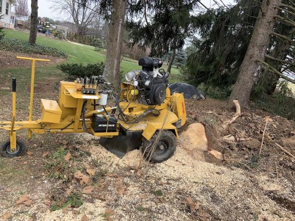 Manny's Lawn & Tree Service