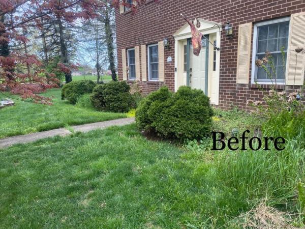 Manny's Lawn & Tree Service