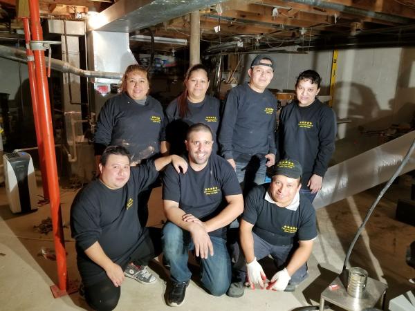 Prime Mold Removal