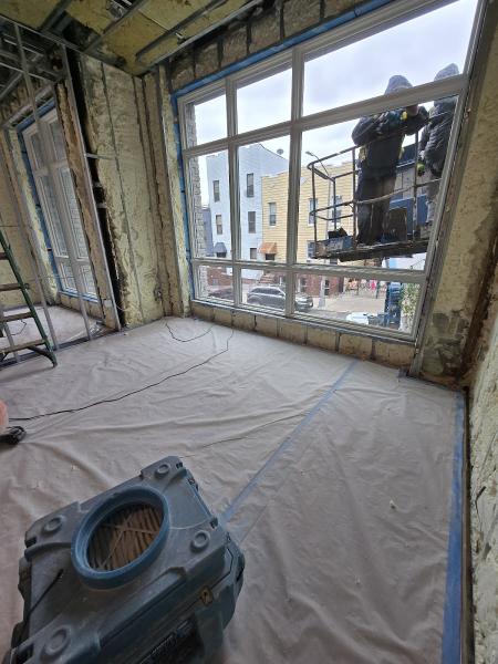 Prime Mold Removal