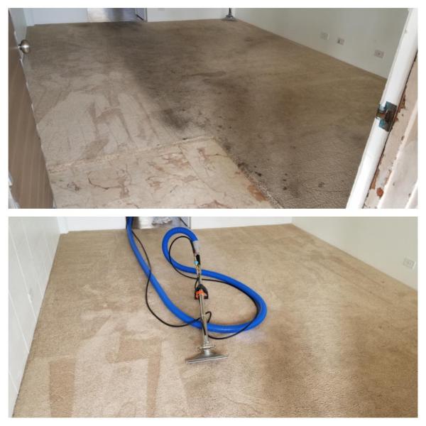 Gold Star Cleaning