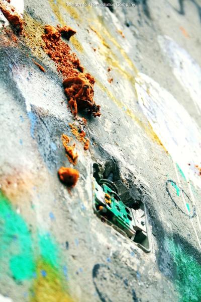 Raleigh NC Mold Testing and Remediation