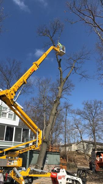 Dave's Tree Service