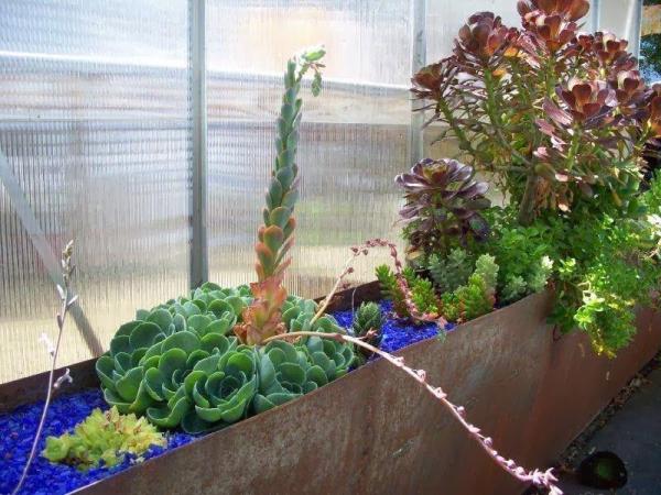 The Gardening Tutor