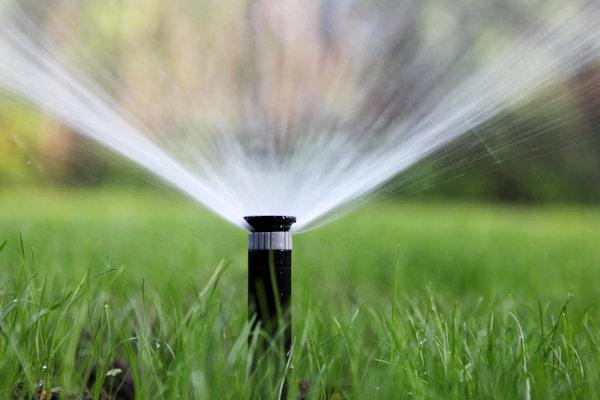 Bloomin Gardens Landscaping & Lawn Care