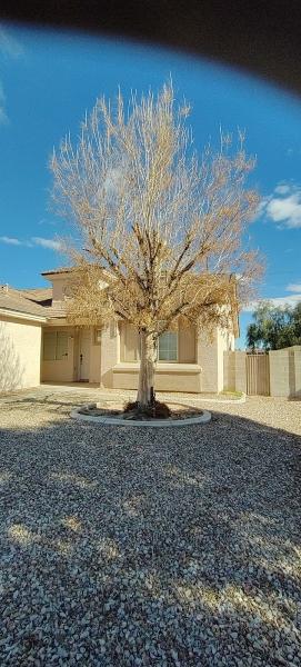 Westco Tree Services