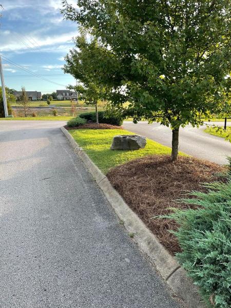Transforming Landscaping & Tree Service