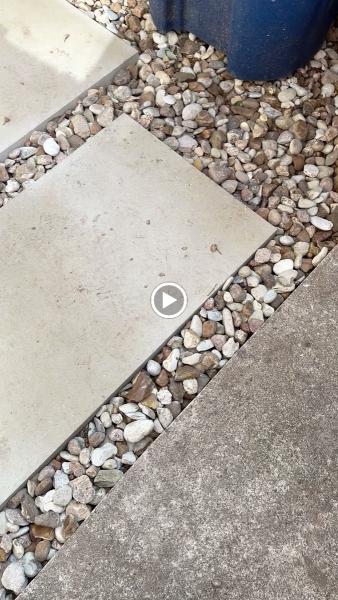 ATX Prestige Landscaping