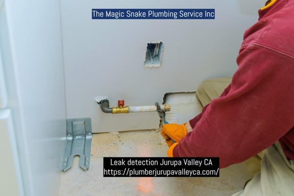 The Magic Snake Plumbing Service Inc