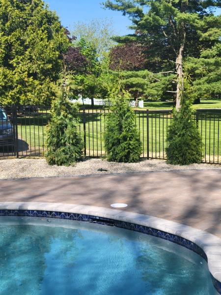 Wilson Bros Landscaping Inc