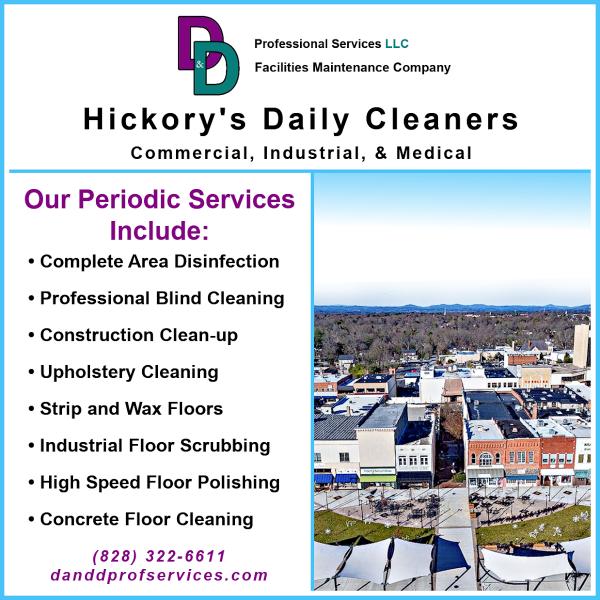 D & D Professional Services