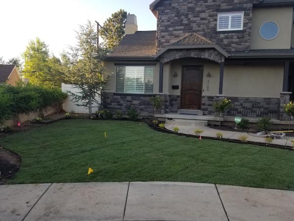 Utah Turf
