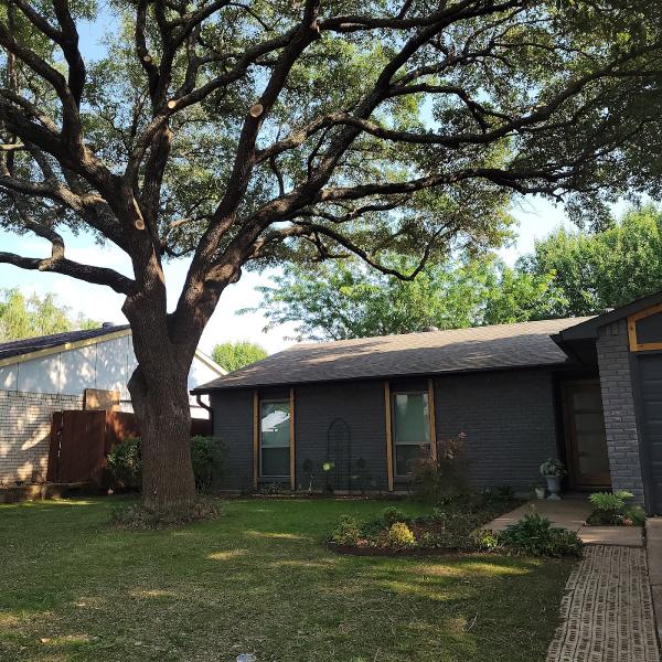 Supreme Tree Service DFW