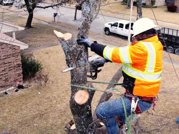 Supreme Tree Service DFW