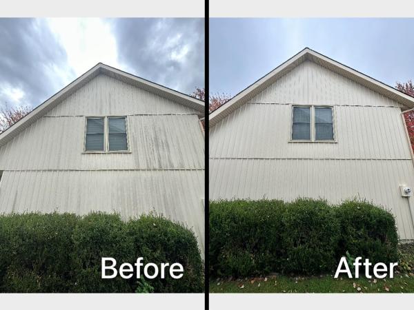 Pure Pressure Washing