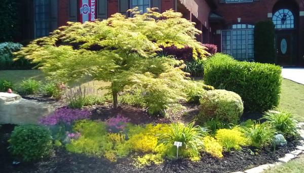 Greentree Landscapes