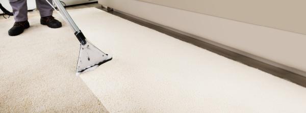 Top Berkeley Carpet Cleaners