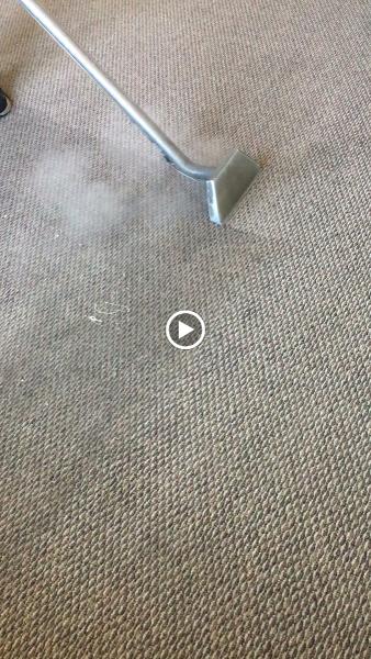 Eagle 1 Carpet Cleaning